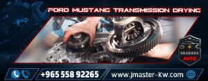 Ford Mustang transmission drying