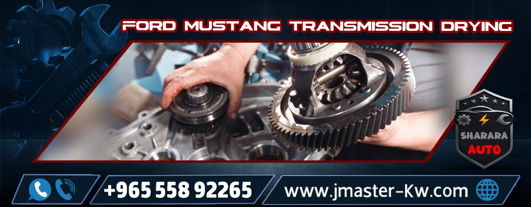 Ford Mustang transmission drying