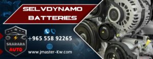 SelvDynamo Batteries