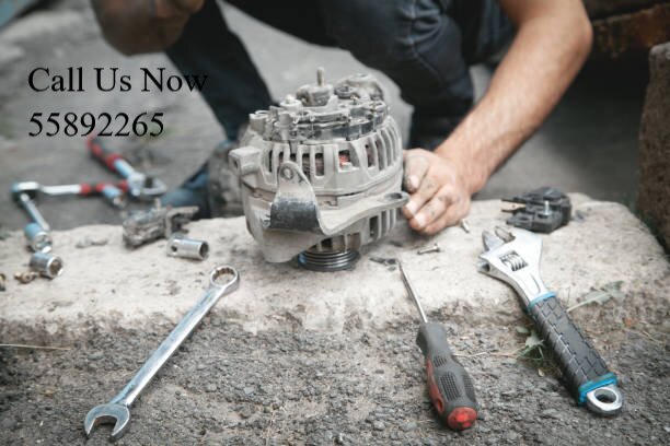 SelvDynamo Batteries