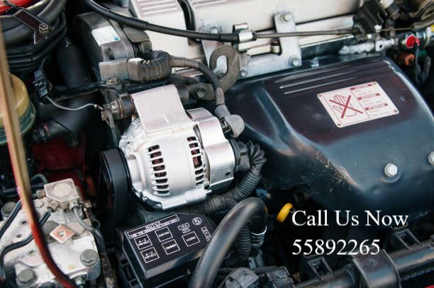 SelvDynamo Batteries