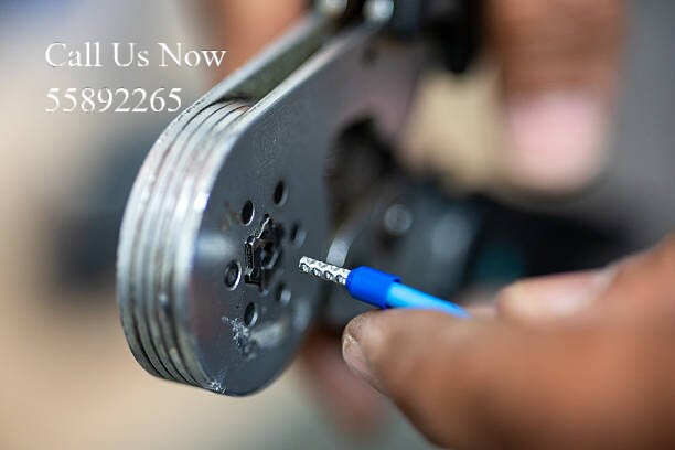 Suzuki Electrical Specialist