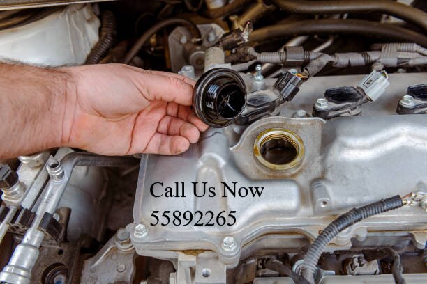 Hongqi Engine Overhaul