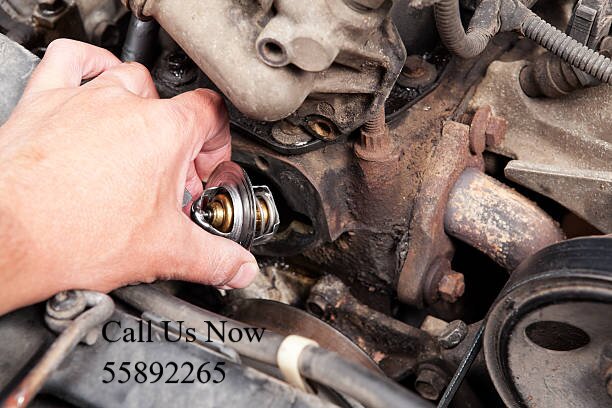 تجفيت مكينة وانغ تشنغ باو