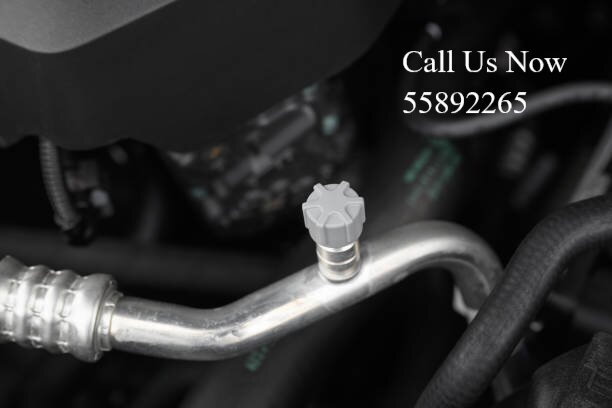 تجفيت مكينة وانغ تشنغ باو