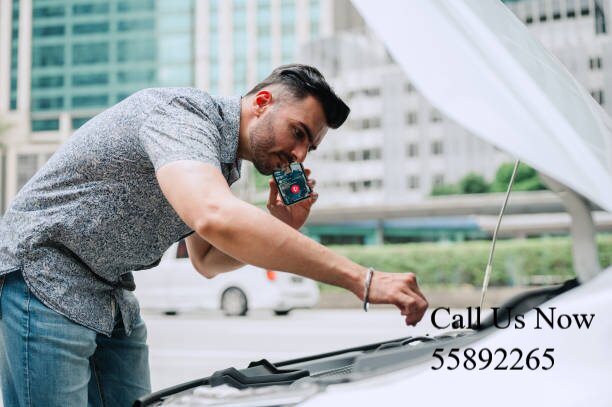 WEY Gearbox Overhaul