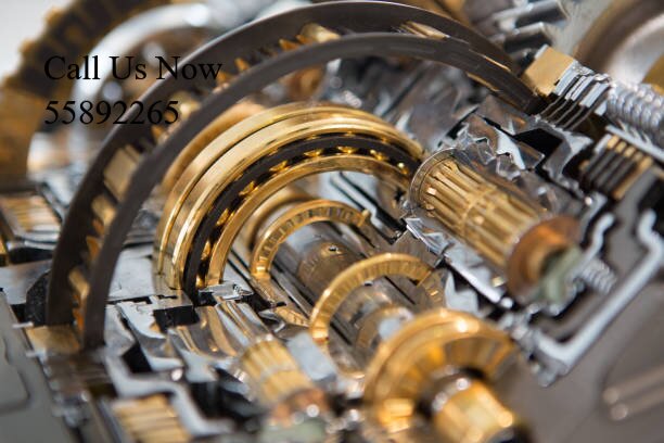 YangWang Gearbox Overhaul